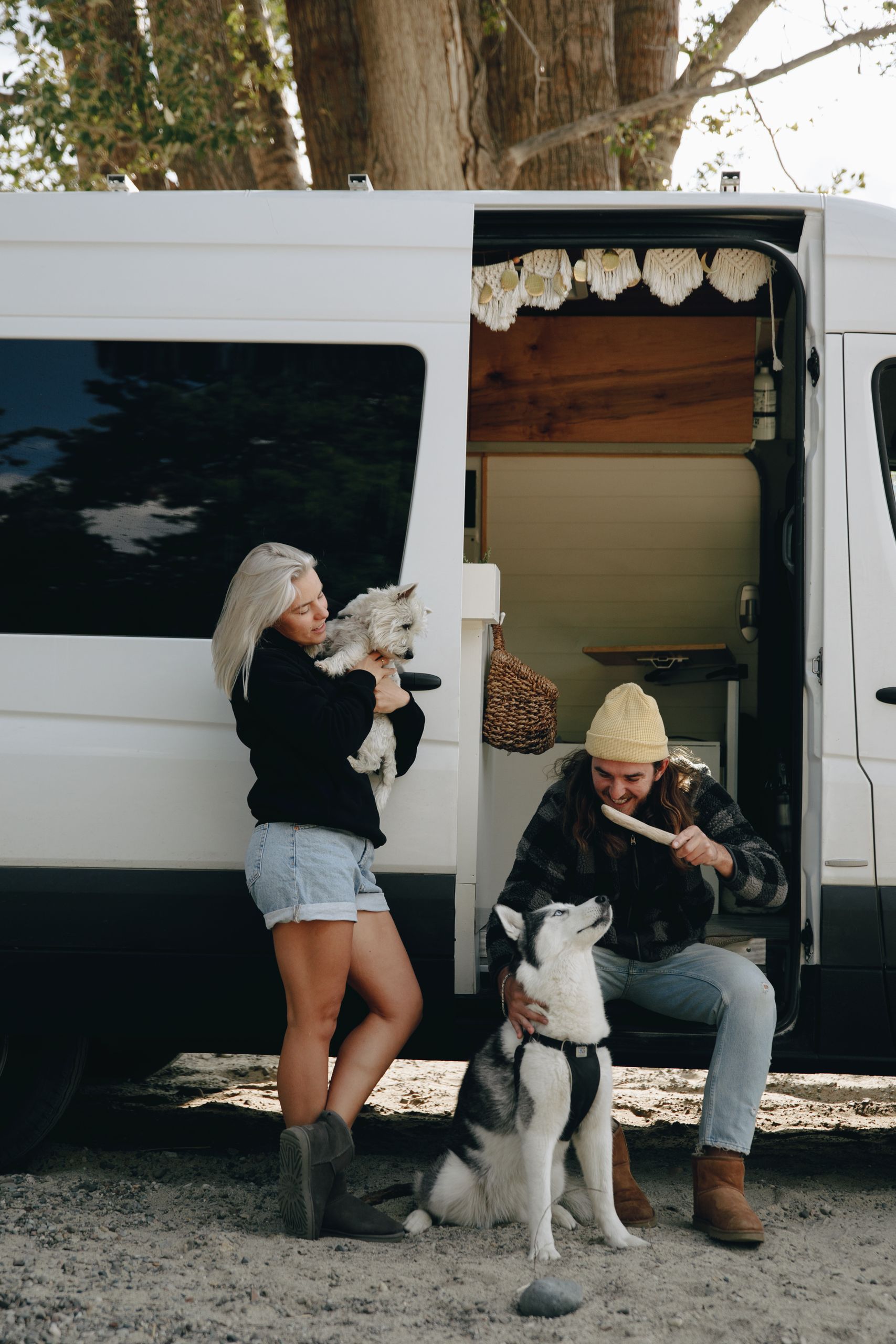 Travel with dogs on a Campet
